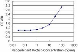 IFITM3 (Human) Matched Antibody Pair