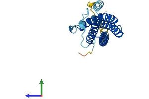 AlphaFold protein structure predicition of Mouse Recombinant Ctf1 Protein, UniprotID Q60753