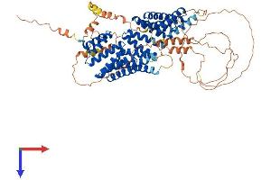 AlphaFold protein structure predicition of Mouse Recombinant Gpsm2 Protein, UniprotID Q8VDU0