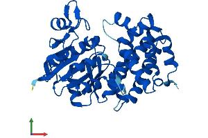 AlphaFold protein structure predicition of Mouse Recombinant Gpd1 Protein, UniprotID P13707