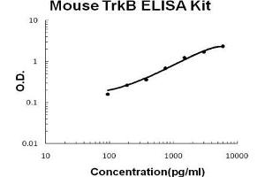 Mouse TrkB PicoKine ELISA Kit standard curve (TRKB Kit ELISA)