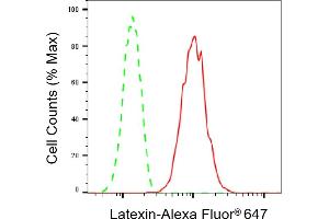 anti-Latexin (LXN) antibody