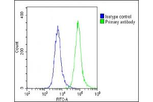 Overlay histogram showing U-87 MG cells stained with (ABIN6243309 and ABIN6578869)(green line).