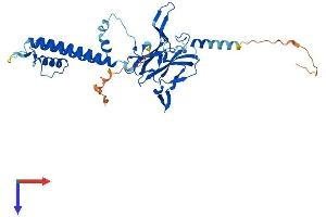 AlphaFold protein structure predicition of Human Recombinant KCNJ11 Protein, UniprotID Q14654