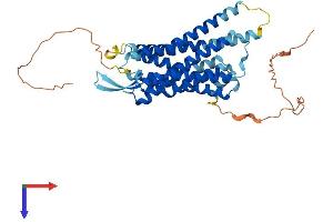 AlphaFold protein structure predicition of Mouse Recombinant Brs3 Protein, UniprotID O54798
