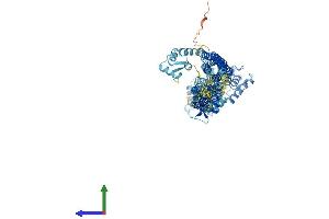 AlphaFold protein structure predicition of Mouse Recombinant Actn2 Protein, UniprotID Q9JI91