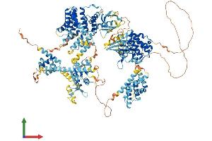AlphaFold protein structure predicition of Mouse Recombinant Map3k6 Protein, UniprotID Q9WTR2