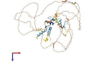 AlphaFold protein structure predicition of Human Recombinant EGR4 Protein, UniprotID Q05215