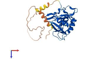 AlphaFold protein structure predicition of Human Recombinant CTDSP2 Protein, UniprotID O14595
