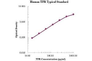Transferrin Receptor (p90, CD71) (TFRC) ELISA Kit