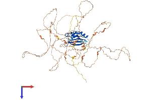AlphaFold protein structure predicition of Human Recombinant ATXN1L Protein, UniprotID P0C7T5