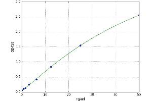 A typical standard curve (CAMKK2 Kit ELISA)