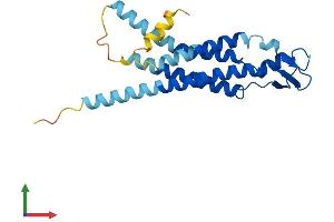 AlphaFold protein structure predicition of Human Recombinant GJB7 Protein, UniprotID Q6PEY0