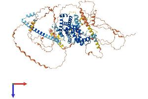 AlphaFold protein structure predicition of Human Recombinant TBC1D30 Protein, UniprotID Q9Y2I9