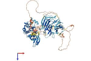 AlphaFold protein structure predicition of Mouse Recombinant Map4k1 Protein, UniprotID P70218
