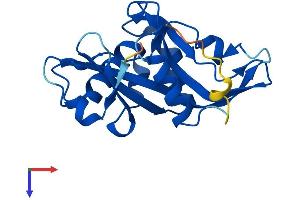 AlphaFold protein structure predicition of Human Recombinant NUDT16 Protein, UniprotID Q96DE0