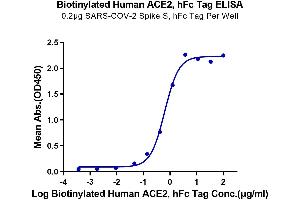 Immobilized SARS-COV-2 Spike S, hFc Tag at 2 μg/mL (100 μL/well) on the plate.