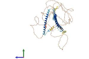 AlphaFold protein structure predicition of Human Recombinant NUP58 Protein, UniprotID Q9BVL2