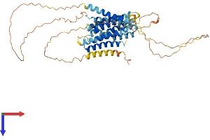 AlphaFold protein structure predicition of Human Recombinant SLC39A7 Protein, UniprotID Q92504