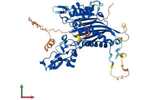 AlphaFold protein structure predicition of Mouse Recombinant Ppm1j Protein, UniprotID Q149T7