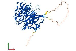 AlphaFold protein structure predicition of Mouse Recombinant Rabepk Protein, UniprotID Q8VCH5