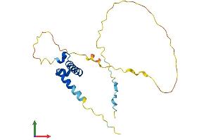 AlphaFold protein structure predicition of Human Recombinant SSX1 Protein, UniprotID Q16384
