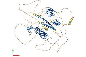 AlphaFold protein structure predicition of Human Recombinant NBR1 Protein, UniprotID Q14596