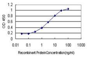 Detection limit for recombinant GST tagged ARHGAP6 is approximately 0. (ARHGAP6 anticorps  (AA 531-636))