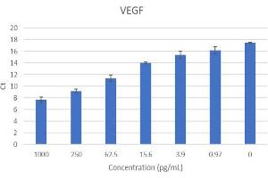 ELISA image for Vascular Endothelial Growth Factor (VEGF) IQ-ELISA Kit (ABIN5680039) (VEGF Kit IQ-ELISA)