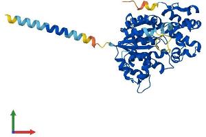 AlphaFold protein structure predicition of Mouse Recombinant Chst4 Protein, UniprotID Q9R1I1