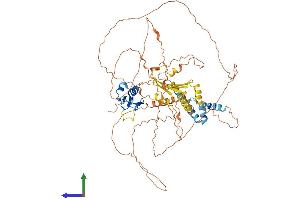 AlphaFold protein structure predicition of Human Recombinant RNF6 Protein, UniprotID Q9Y252