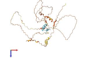 AlphaFold protein structure predicition of Human Recombinant ZNF843 Protein, UniprotID Q8N446