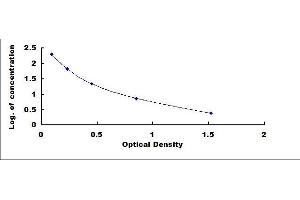 ELISA image for Pepsin ELISA Kit (ABIN4947934)