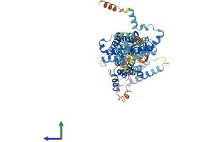 AlphaFold protein structure predicition of Human Recombinant SLC26A7 Protein, UniprotID Q8TE54