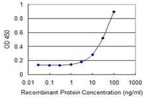 Detection limit for recombinant GST tagged RPS8 is 1 ng/ml as a capture antibody. (RPS8 anticorps  (AA 109-207))