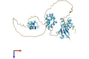 AlphaFold protein structure predicition of Mouse Recombinant Rad23a Protein, UniprotID P54726