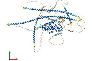 AlphaFold protein structure predicition of Human Recombinant PPFIA1 Protein, UniprotID Q13136