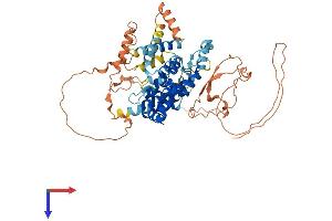 AlphaFold protein structure predicition of Human Recombinant TBC1D3F Protein, UniprotID A6NER0