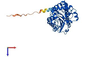 AlphaFold protein structure predicition of Human Recombinant LCMT1 Protein, UniprotID Q9UIC8