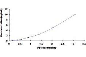 Typical standard curve