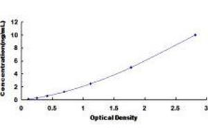 ELISA image for Deiodinase, Iodothyronine, Type I (DIO1) ELISA Kit (ABIN435788)