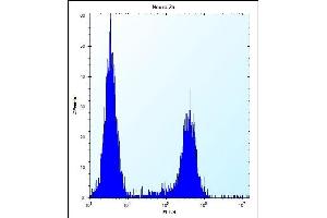 C Antibody (C-term) (ABIN654740 and ABIN2844426) flow cytometric analysis of Neuro-2a cells (right histogram) compared to a negative control cell (left histogram). (CF153 (AA 230-259), (C-Term) anticorps)