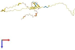 AlphaFold protein structure predicition of Human Recombinant MOBP Protein, UniprotID Q13875