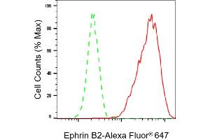 Flow cytometric analysis of Ephrin B2 expression in HAP-1 cells using Ephrin B2 antibody (ABIN7798458), 1:2,000). (Recombinant Ephrin B2 anticorps)