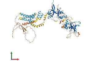 AlphaFold protein structure predicition of Mouse Recombinant Cnnm3 Protein, UniprotID Q32NY4