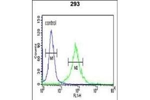 WTX Antibody (Center) (ABIN390467 and ABIN2840835) flow cytometric analysis of 293 cells (right histogram) compared to a negative control cell (left histogram). (WTX anticorps  (AA 681-708))