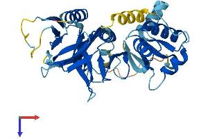 AlphaFold protein structure predicition of Human Recombinant PLEK2 Protein, UniprotID Q9NYT0