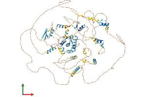 AlphaFold protein structure predicition of Mouse Recombinant Tshz3 Protein, UniprotID Q8CGV9