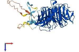 AlphaFold protein structure predicition of Human Recombinant GRWD1 Protein, UniprotID Q9BQ67