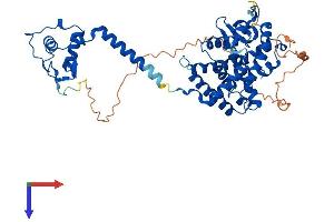 AlphaFold protein structure predicition of Mouse Recombinant Thrb Protein, UniprotID P37242
